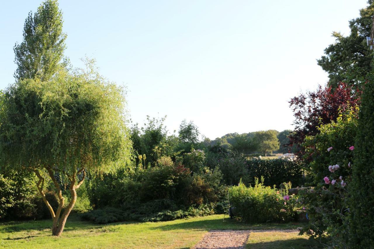 Le Bourgis Bed and Breakfast La Chapelle-Montligeon Eksteriør billede