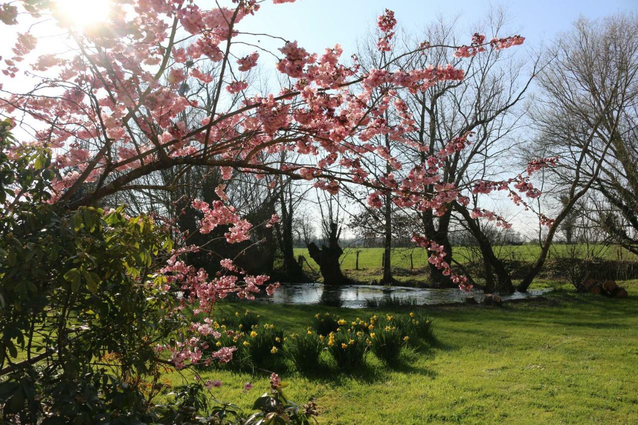 Le Bourgis Bed and Breakfast La Chapelle-Montligeon Eksteriør billede